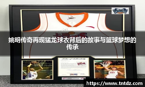 姚明传奇再现猛龙球衣背后的故事与篮球梦想的传承