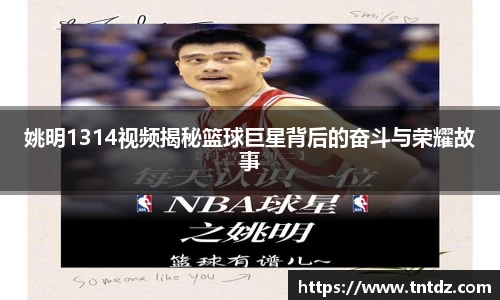 姚明1314视频揭秘篮球巨星背后的奋斗与荣耀故事