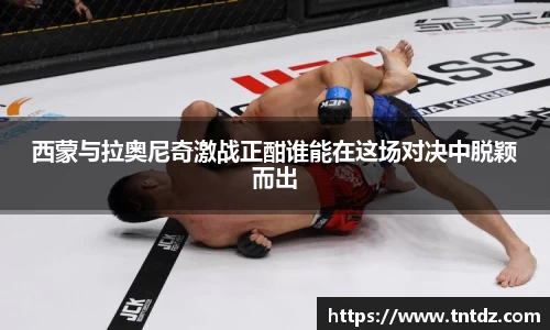 西蒙与拉奥尼奇激战正酣谁能在这场对决中脱颖而出
